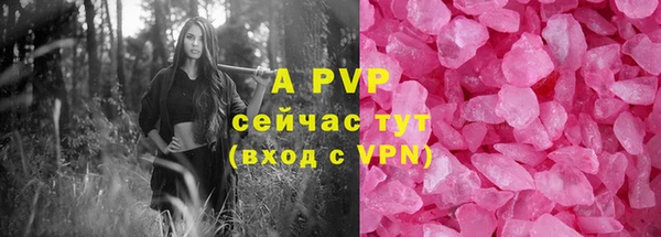 спайс Арсеньев