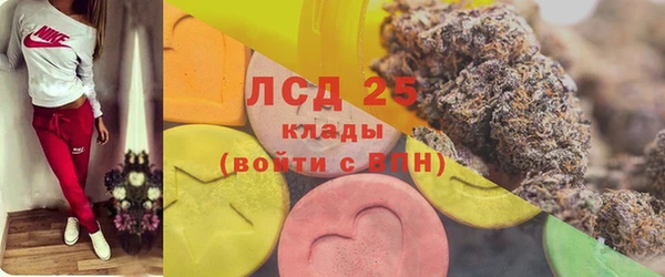 спайс Арсеньев