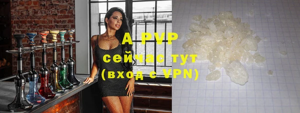 спайс Арсеньев