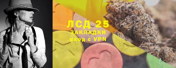 спайс Арсеньев